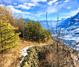 Antichi terrazzamenti resistono al passare del tempo mimetizzandosi nella natura