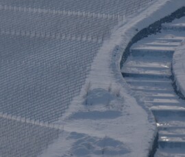 Mostra evento finale: Ezio Junod foto n.21 Vigneti di Chambave e torrente Taillaz Vigneti di Chambave e torrente Taillaz