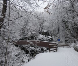Saint-Vincent, Rû de la Plaine ,ponte sul torrente Biègne