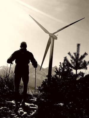 contest-2019-dellea_zo